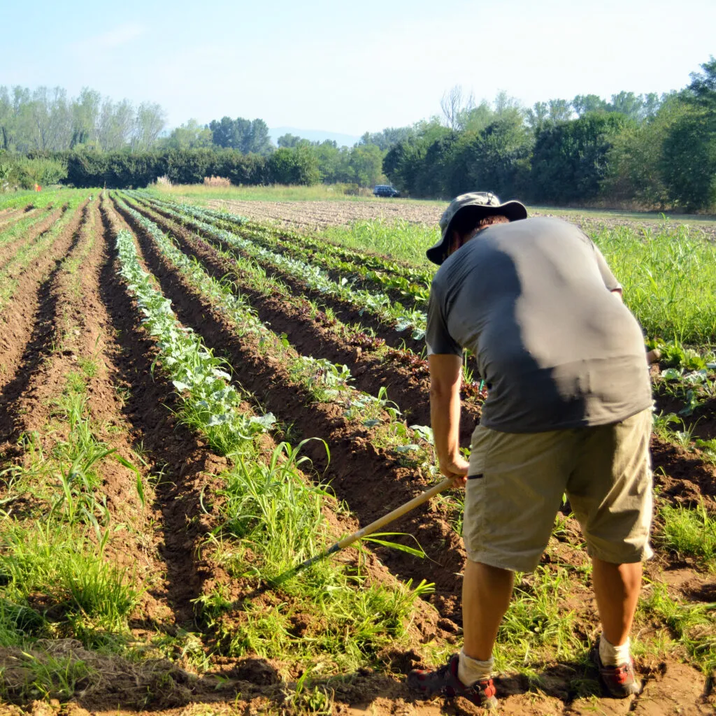 Uomo e agricoltura, fin dalle origini sono cresciuti assieme