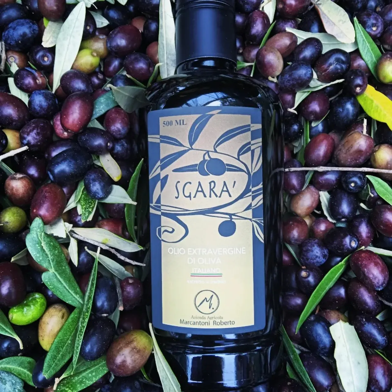 Azienda Agricola Marcantoni Roberto
