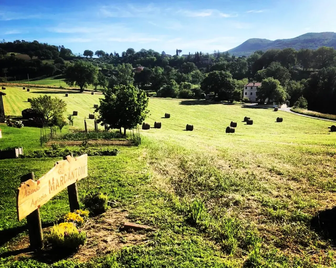 Azienda Agricola Marcantoni Roberto