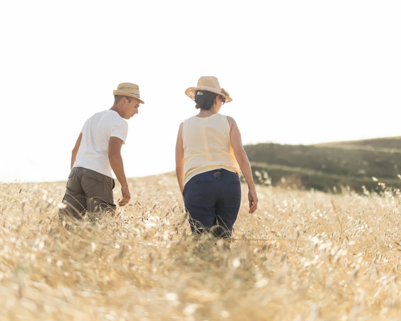 Azienda Agricola Bio Miceli