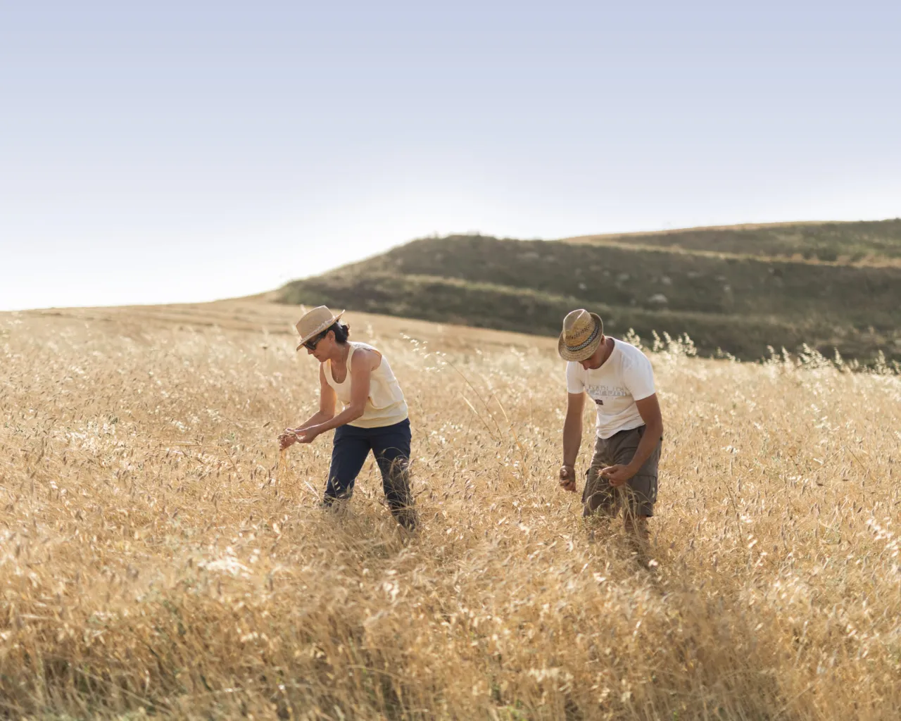 Azienda Agricola Bio Miceli