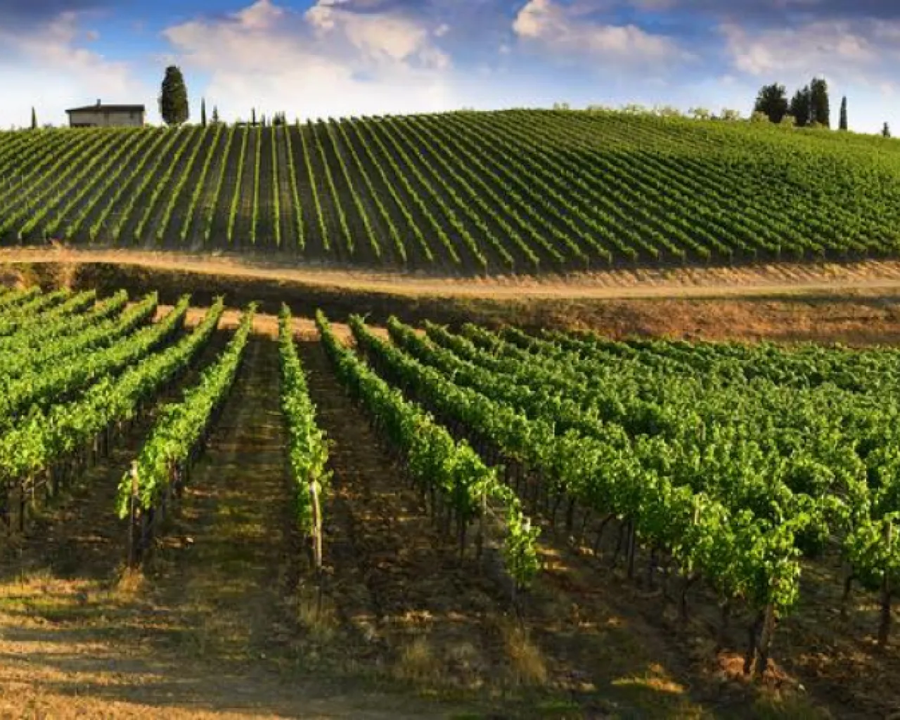 BioDistretto del Chianti