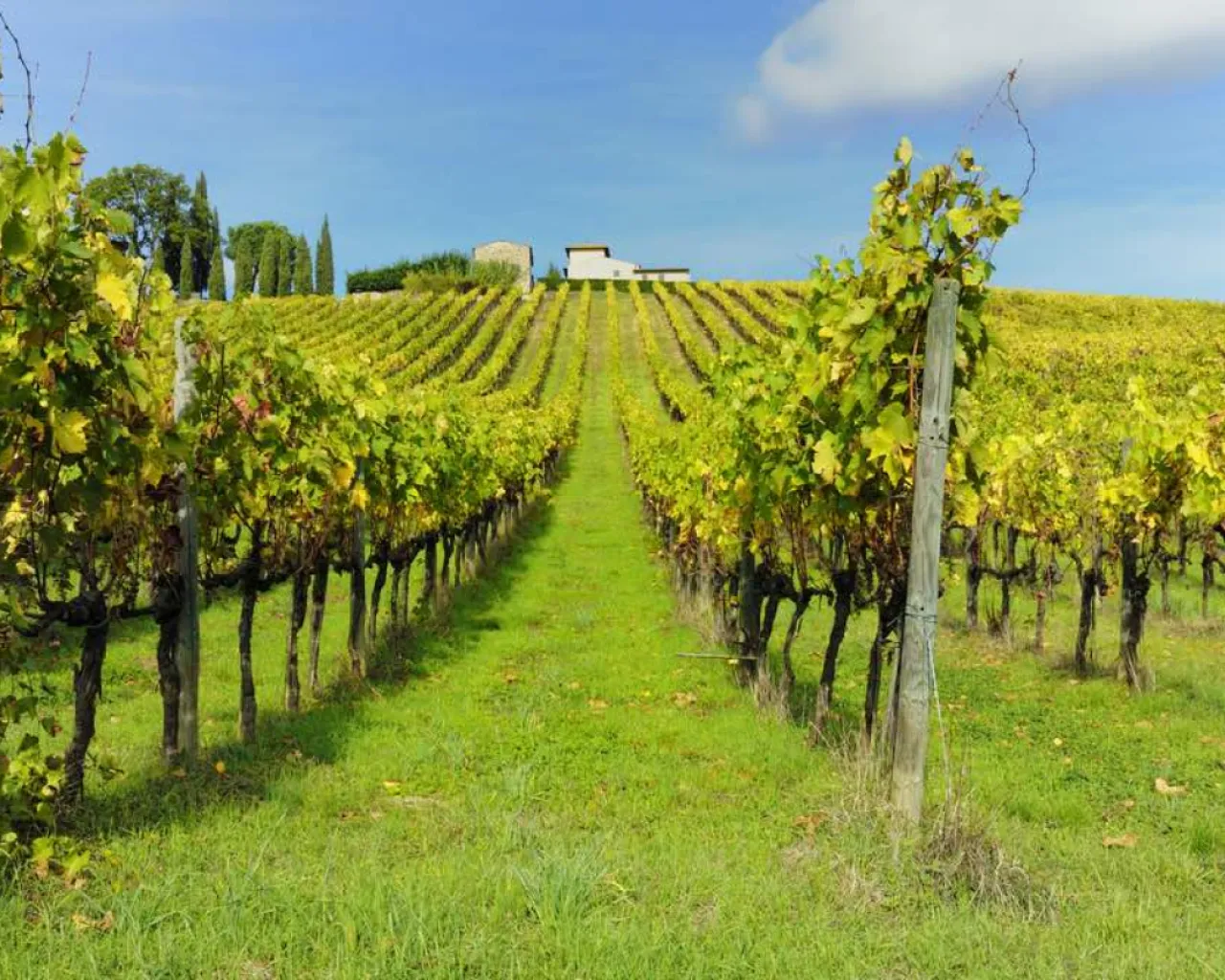 BioDistretto del Chianti