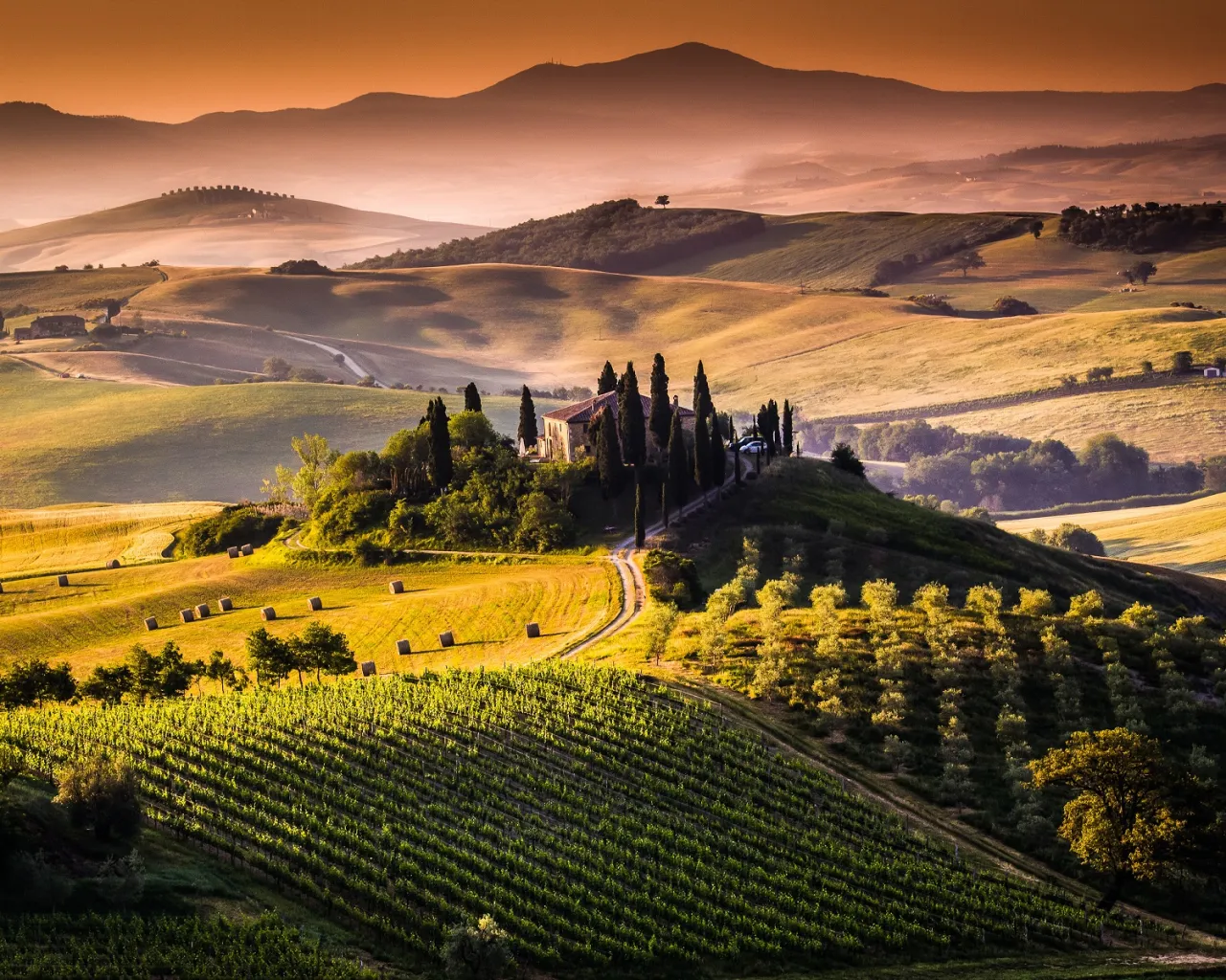 BioDistretto del Chianti