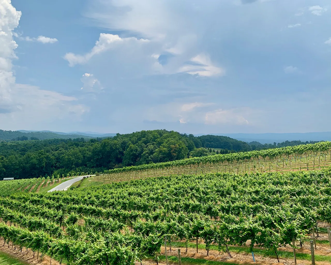 BioDistretto del Chianti