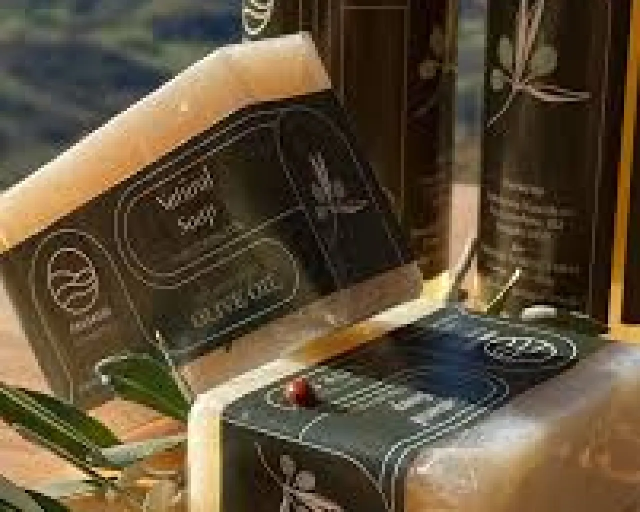 Frasassi Forest Farm