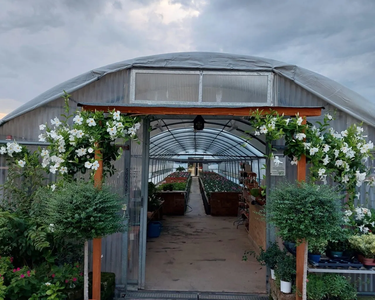 Azienda Agricola Bambozzi - vivaio